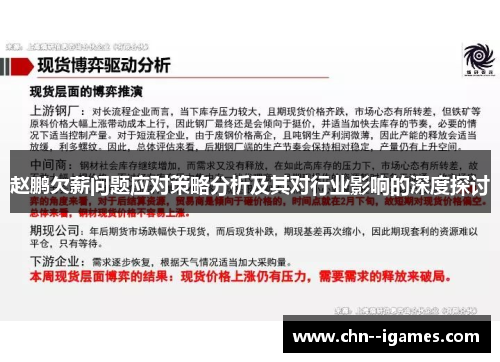 赵鹏欠薪问题应对策略分析及其对行业影响的深度探讨 赵鹏欠薪问题应对策略分析及其对行业影响的深度探讨
