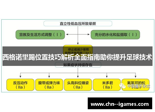 西格诺里踢位置技巧解析全面指南助你提升足球技术 西格诺里踢位置技巧解析全面指南助你提升足球技术